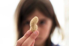 image of peanut