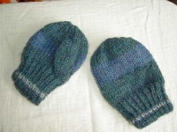 image of mitten