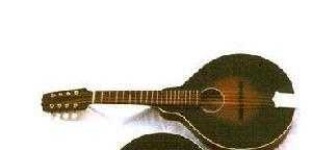 image of mandolin
