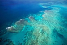 image of reef