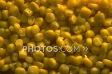 image of corn