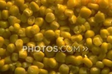 image of corn #10