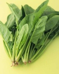 image of fruit_and_vegetable