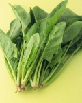 image of spinach #15