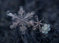image of snowflake