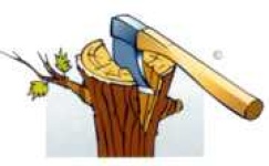 image of hatchet