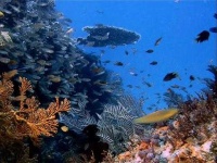 image of ocean