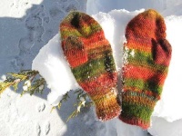image of mitten