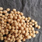 image of fruit_and_vegetable