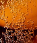 image of bubbly #30