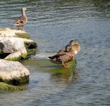 image of lakeside