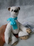 image of teddy