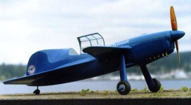 image of wing