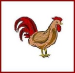 image of rooster