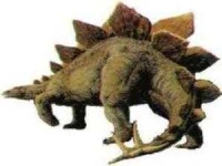 image of stegosaurus