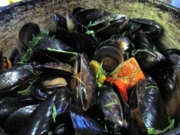 image of mussels #17