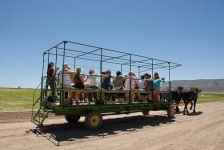 image of horse_cart