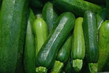 image of zucchini #13