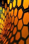 image of texture