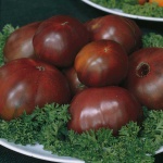 image of tomato #16