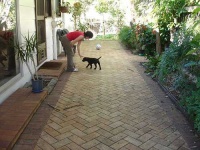 image of patio