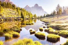 image of sunny