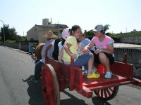 image of oxcart
