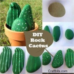 image of cactus