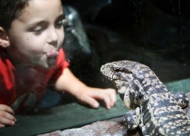 image of animal