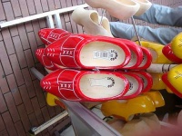 image of clog