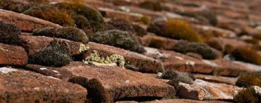 image of tile_roof