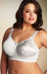 image of brassiere