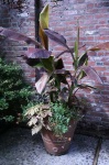 image of pot