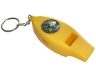 image of magnetic_compass