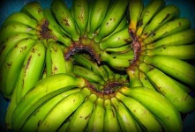 image of banana #8