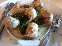 image of escargots #28