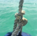 image of knot
