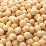 image of beans #32