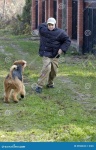 image of people_play_with_dog #30