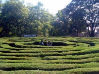 image of maze