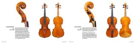 image of violin