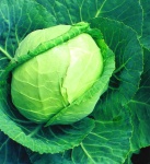 image of fruit_and_vegetable