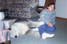 image of old_english_sheepdog #4