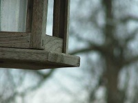image of birdhouse