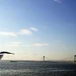 image of sea