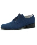 image of blue_shoes #24