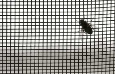 image of window_screen