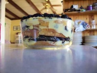 image of trifle