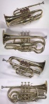 image of cornet