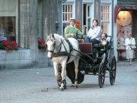 image of horse_cart #20